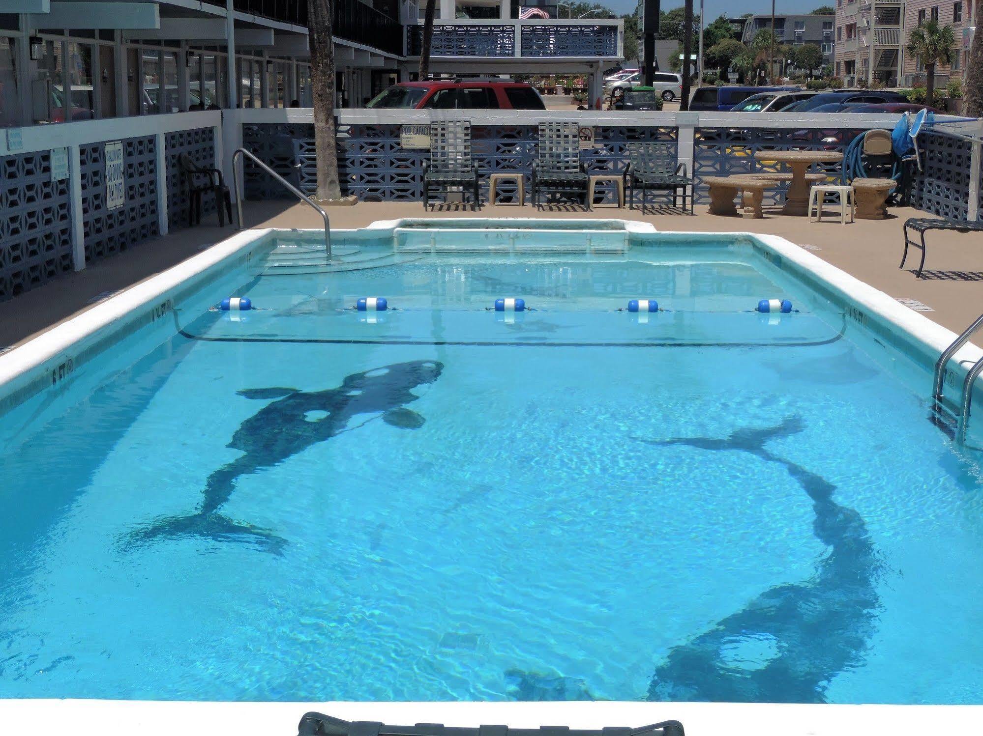 Sea Hawk Oceanfront Motel 미를 비치 외부 사진