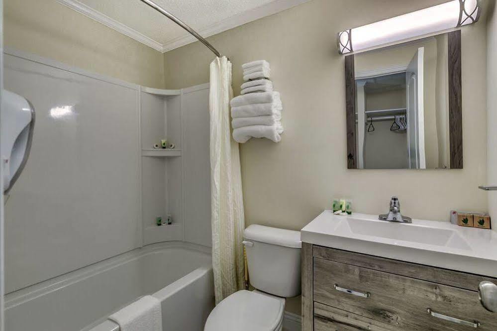 Sea Hawk Oceanfront Motel 미를 비치 외부 사진